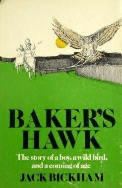 Baker's Hawk by Jack M Bickham